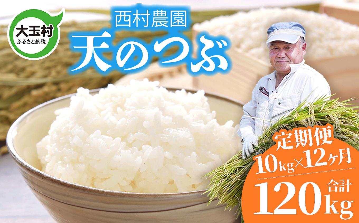 
米 定期便 天のつぶ 120kg ( 10kg × 12ヶ月 ) 《 令和6年 》 福島県 大玉村 西村農園 新米 ｜ てんのつぶ テンノツブ 精米 定期 12回 コメ ｜ nm-tt10-t12-R6
