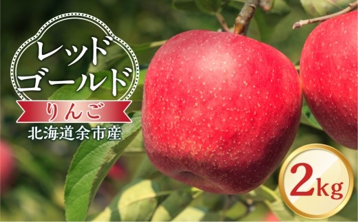 【先行予約：2026年10月中旬より発送】りんご（レッドゴールド）2kg【北海道余市町産】