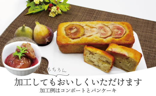 福岡県産とよみつひめ【2024年8月より順次発送】300g×8パック[F2299]