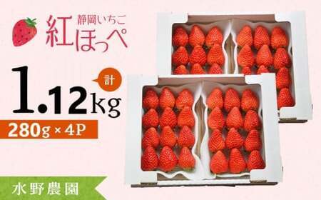 【2026年先行予約】紅ほっぺ 280g×4P(合計1.12kg) 完熟いちご イチゴ フルーツ 果物 6891