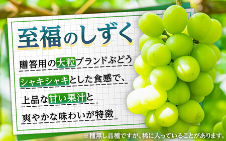 【先行予約】 進撃のシャインマスカット 1房 約700g ハンドバッグ付（超大型巨人）日田市 / 松岡果樹園[AREJ002]