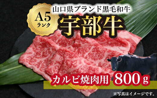 【ふるさと納税】【宇部牛】 カルビ焼肉用 800g 山口県 宇部市 宇部牛 黒毛和牛 オレイン酸 上質 肉質 脂 美味しい 育て方 こだわり ブランド A5ランク 焼肉 BBQ 肉 牛 業務 お裾分け お祝い クリスマス お誕生日[BTAJ023]