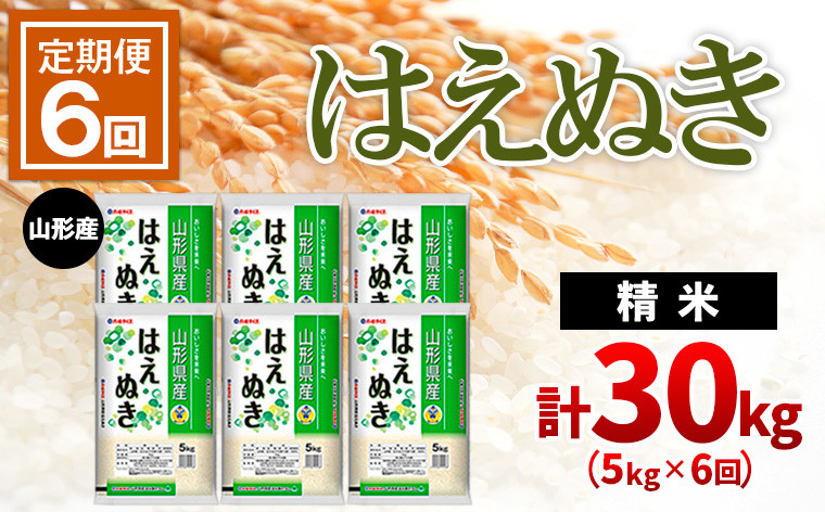 
【定期便6回】山形産はえぬき 精米5kg×6ヶ月(頒布会)計30kg FZ22-020
