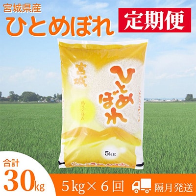 2023年6月発送開始『定期便』宮城県登米市産ひとめぼれ精米5kg(隔月)全6回【5146675】