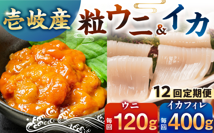 【全12回定期便】【冷凍】壱岐産剣先イカフィレ(80g)×5枚　壱岐産粒うに瓶60g×1本　《壱岐市》　【一支國屋】 [JCC019]