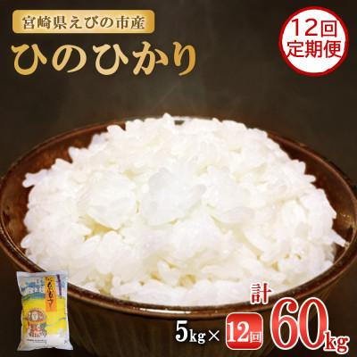 ふるさと納税 えびの市 【毎月定期便】えびの産 ひのひかり 5kg全12回