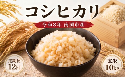 【12回定期便】令和8年度 南国市産 コシヒカリ 玄米 10㎏ | 先行予約 新米 数量限定 米 コメ お米 ご飯 おにぎり こめ 弁当 高知県 南国市