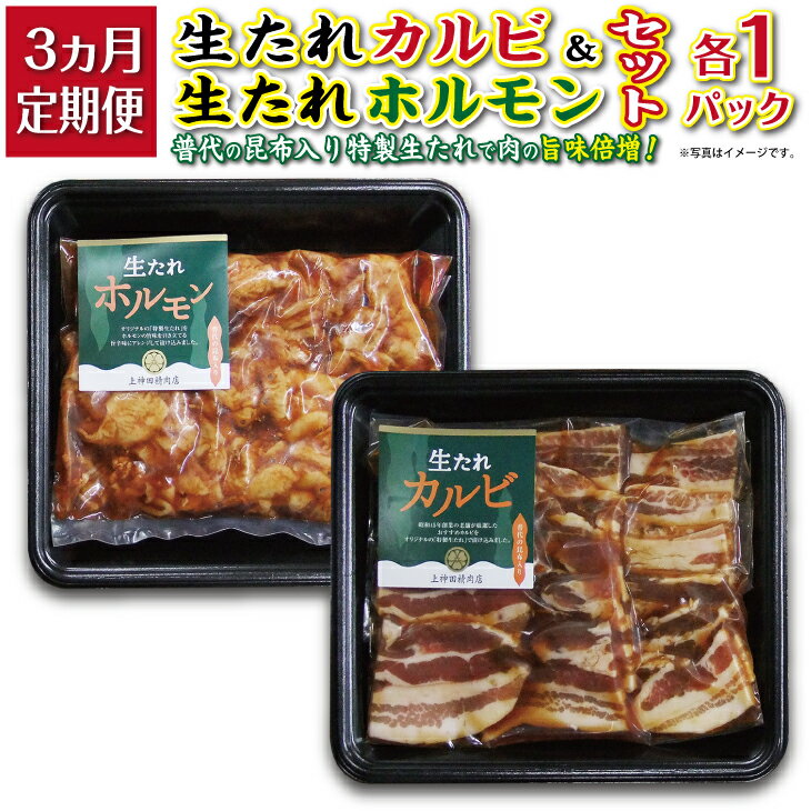 【ふるさと納税】 定期便 生たれカルビ＆生たれホルモン(各1パック） 焼肉用 3カ月連続お届け