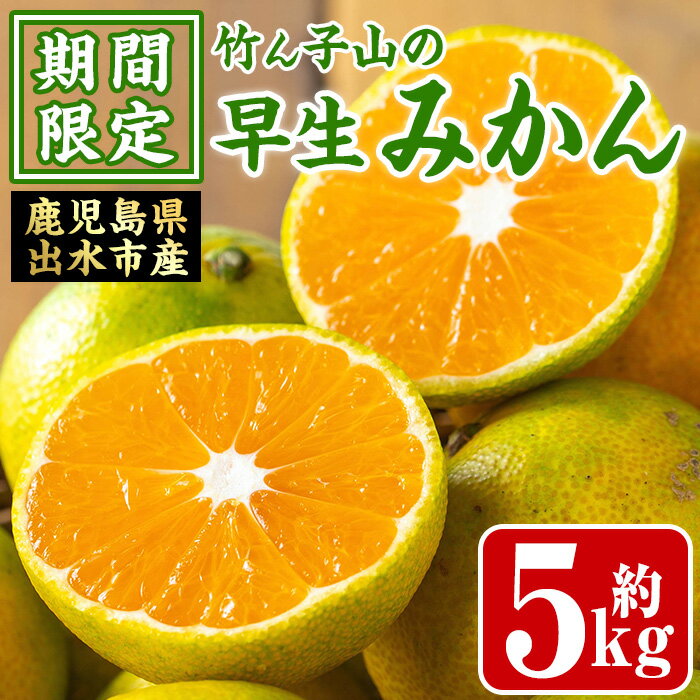 【ふるさと納税】≪数量・期間限定≫いずみ産 竹ん子山の早生みかん(約5kg) 鹿児島 国産 九州産 みかん ミカン 蜜柑 柑橘 くだもの フルーツ 果実 早生 【イーサイドライン】