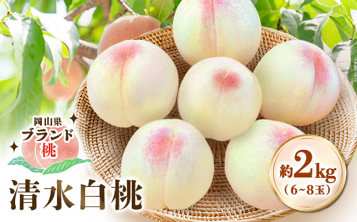【先行受付|8月上旬頃より順次発送】岡山県ブランド『清水白桃』　約2kg(6~8玉)【配送不可地域：離島・北海道・沖縄県】