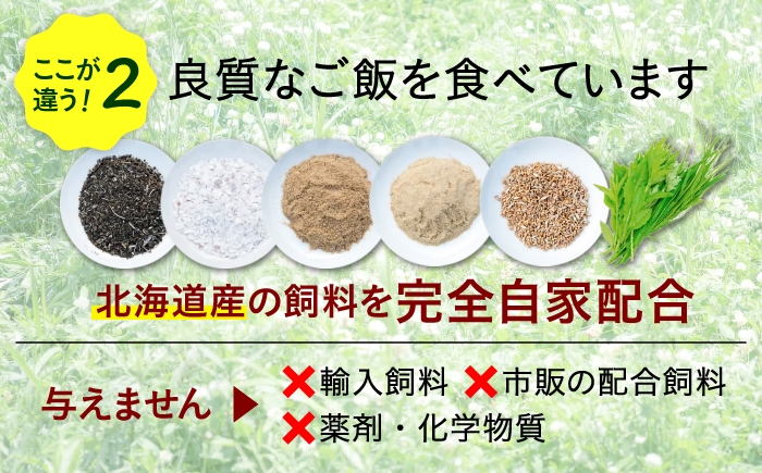 たまご 卵 鶏卵 玉子 生卵 平飼い 北海道 定期便