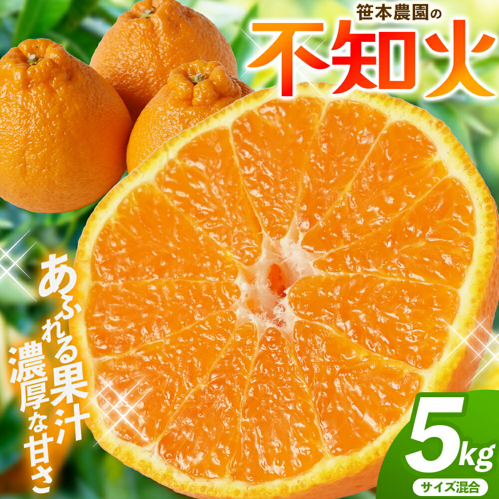 【ふるさと納税】 不知火 5kg サイズ混合 不知火デコポン みかん ミカン 蜜柑 しらぬい 柑橘 フルーツ 果物 くだもの 甘い 旬 人気 果汁 濃厚 産地直送 国産 お取り寄せ 数量限定 期間限定 三重県 熊野市 送料無料 笹本農園【2027年3月上旬頃〜順次発送】