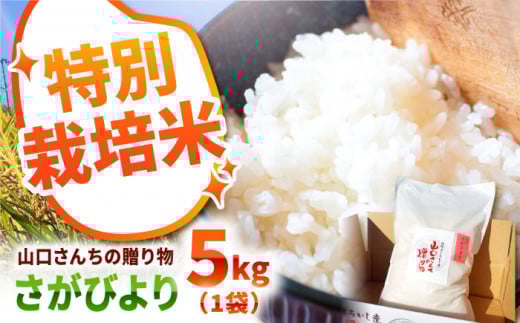 【令和7年11月以降順次発送】【令和7年度産】 特別栽培米 さがびより 5kg 白米～山口さんちの贈り物～【y'scompany】米 お米 さがびより サガビヨリ 特別栽培米 白米 お米 佐賀県 白石町 [IAS005]