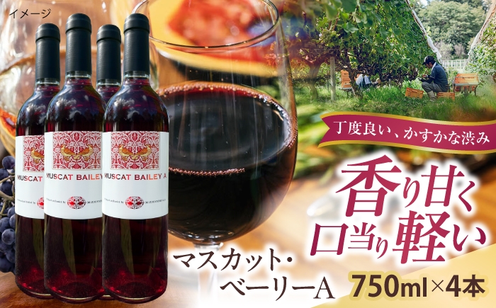 
                  マスカット・ベーリーA 4本 750ml×4 赤ワイン 国産 島根県雲南市/有限会社奥出雲葡萄園 [AICS128]
                