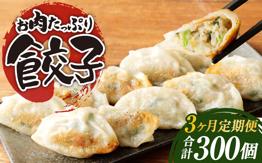 
            【3ヶ月定期便】お肉たっぷり餃子 約6kg（10個入×10パック×3回）
          