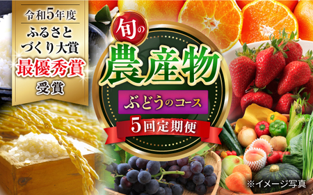 バラエティ定期便 全5回 大村産農産物  [ACAA120]