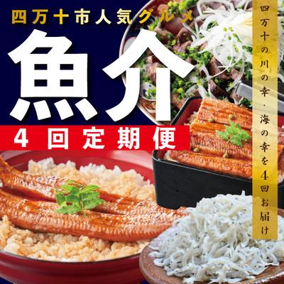 ふるさと納税 四万十市 【4ヵ月連続定期便】四万十市人気魚介返礼品を集めた定期便 R6