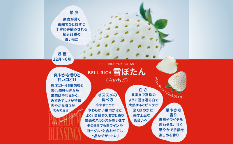 《数量限定》赤白いちごの贅沢食べ比べセット(合計2パック) BELL RICH_H0049-100