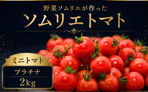 【特別栽培農産物】ソムリエミニトマト・プラチナ 2kg | 野菜 やさい トマト とまと 銀賞 熊本県 玉名市