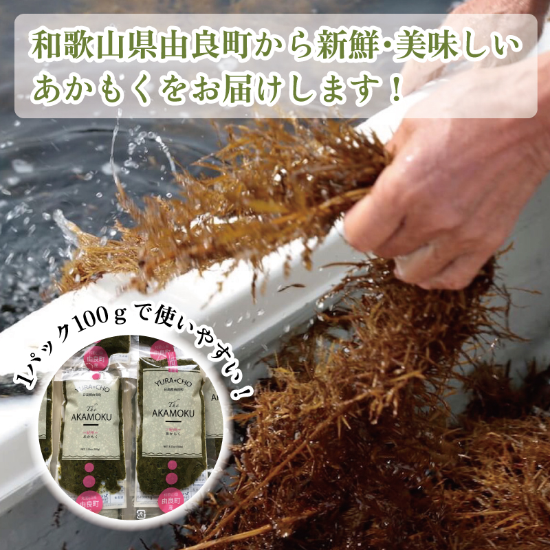 紀州あかもく［由良町産］100g×10パック（2024年産）【SL12】　CG90007_イメージ5