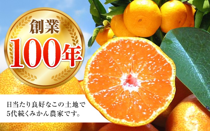 タッチの甘熟 早生みかん 太陽のしずく 5kg【夢の甘熟みかん タッチ】 フルーツ みかん 果物 温州みかん 年内発送
