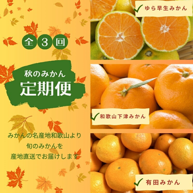 【ふるさと納税】【3か月定期便】みかんの名産地和歌山発！秋のみかん定期便♪ゆら早生みかん・下津みかん・有田みかん