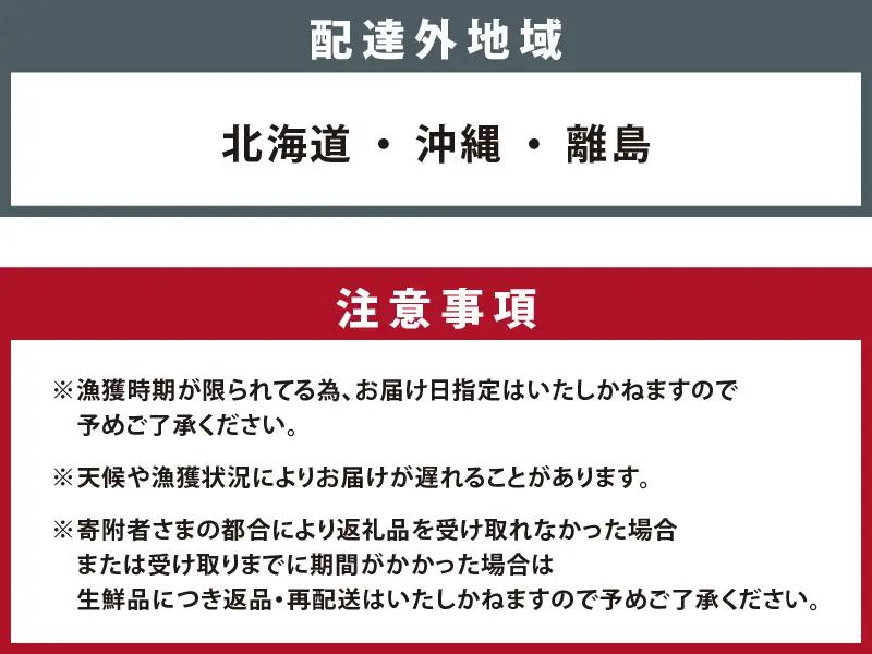 【先行予約】越前がに 中 （約600g～700g） 2杯【11月～12月発送】 日本海 直送
