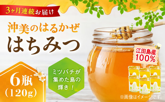 
            【全3回定期便】江田島産100％ はちみつ 『沖美のはるかぜ』120g×6本セット ハチミツ 蜂蜜 国産 広島 江田島市/はつはな果蜂園 [XCD015] ハチミツ 国産蜂蜜 国産はちみつ 国産純粋はちみつ 蜜 蜂蜜 はちみつ ハニー honey 人気ハチミツ 日本蜜蜂 純粋はちみつ 常温 保存 備蓄 防災食 非常食 保存食 産地直送 国産 定期便
          