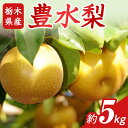 【ふるさと納税】N03 梨 なし 豊水 5kg フルーツ 先行予約 2024年 8月 下旬頃 栃木県