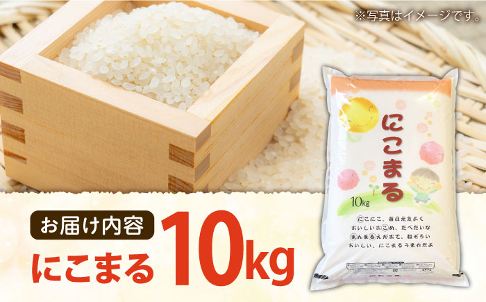 長崎県産 精米 にこまる10kg / 米 南島原市 / 大松屋商店 [SDR005]