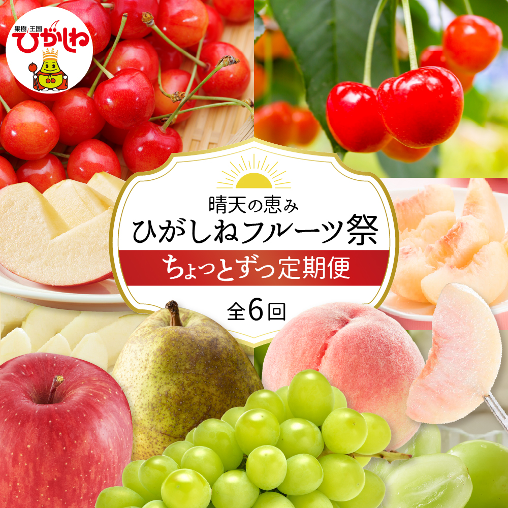 【2026年産先行予約】ひがしねフルーツ祭 ちょっとずつ定期便！全6回（2026年6月からスタート）山形県 東根市 hi026-052