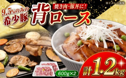 【焼肉革命】大西海SPF豚 背ロース（焼肉用）計約1.2kg（600g×2パック）長崎県/長崎県農協直販 [42ZZAA072]