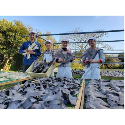 ふるさと納税 館山市 【エコ包装】「フカヒレ姿煮」大尾びれ2枚入り(530g×2枚)　尾びれ重さ約201-240g |  | 02