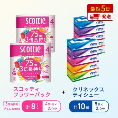 ふるさと納税 岩沼市 ティッシュ+トイレットペーパー2P   [No.5704-1776]