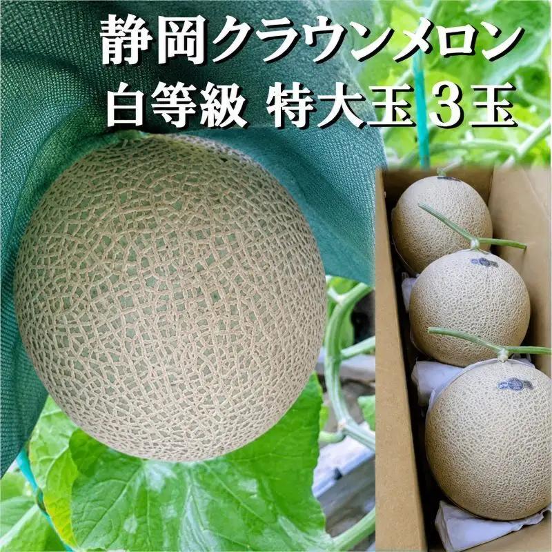 クラウンメロン マスクメロン 並 白等級 特大玉 クラウンメロン【約1.5kg 3玉】