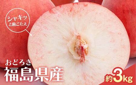 【2026年出荷分先行予約】福島県産 おどろき 約3kg (7～12玉) 農業生産法人種まきうさぎ株式会社 固め 固い 伊達市の桃 桃 フルーツ 果物 もも モモ momo F20C-499