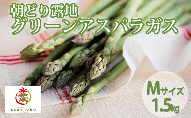 【2026年5月より発送】北海道 富良野市産 アスパラ 緑 (Mサイズ) 約1.5kg 朝どり 露地 グリーン アスパラガス 詰め合わせ 野菜 新鮮 数量限定 先着順【藏ファーム】