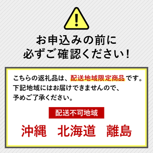 【先行予約】 2026年度産 みかん  早生 みかん 6kg  10月下旬発送