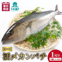 【ふるさと納税】【最短10日後以降発送可】 ＜レビューキャンペーン＞ 魚 魚介 カンパチ 1尾 内臓 エラ取り 延岡産 お刺身 活〆鮮魚 請関水産 職人技 脱血鮮魚 海鮮丼 焼き物 しゃぶしゃぶ 新鮮 チルド冷蔵 冷蔵 国産 産地直送 食品 魚介類 水産加工品 送料無料