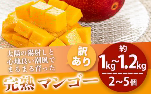 ＜先行予約＞【訳あり】 完熟 マンゴー (約1〜1.2kg 2〜5個)《2026年7月上旬から順次発送》 | ふるさと納税 マンゴー わけあり 不揃い 産地直送 フルーツ 果物 マンゴー 石垣 沖縄 