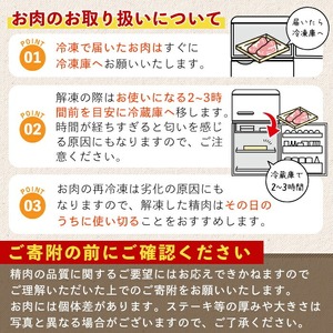 希少！曽於さくら牛 カルビ赤身肉コース！(焼肉用400g、スライス400g：計800g) 黒毛和牛 カルビ 赤身肉【福永産業】A165-v01