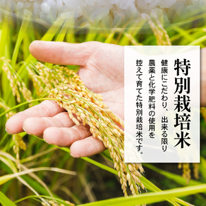 《 先行予約 》【 令和7年産 】 特別栽培米 雪若丸 計6kg ( 2kg×3袋 ) 〔2025年10月中下旬頃～順次お届け〕2025年産 産地直送 農家直送