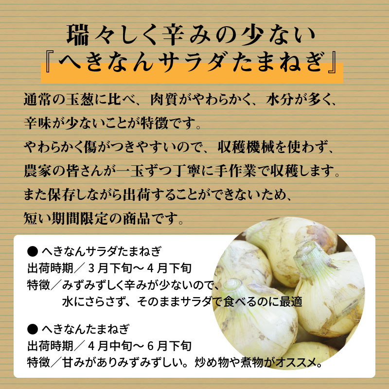 みずみずしく辛味の少ない「へきなんサラダたまねぎ」10kg　H017-101