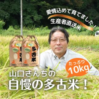 山口さんちの【令和6年産】多古米コシヒカリ(精米)10kg【配送不可地域：離島・沖縄県】