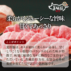 【餃子】美明豚 スープ 餃子 2袋 和風醤油｜惣菜 冷凍食品 茨城県 行方市(HJ-7)