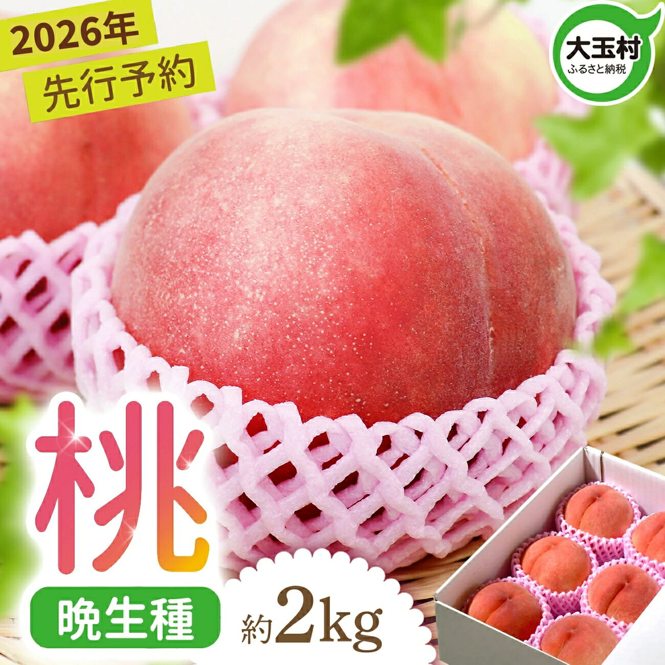 【ふるさと納税】 もも 2kg 令和8年 先行予約 桃 福島 約6玉 2026年 8月中旬-9月下旬発送 菊地果樹園 ｜ 大玉 村 福島県 大玉村 国産 白桃 川中島白桃 さくら ゆうぞら 旬 果物 フルーツ くだもの お取り寄せ 新鮮 産地直送 送料無料 ギフト 贈答 晩生種 ｜ kk-mm02-R8