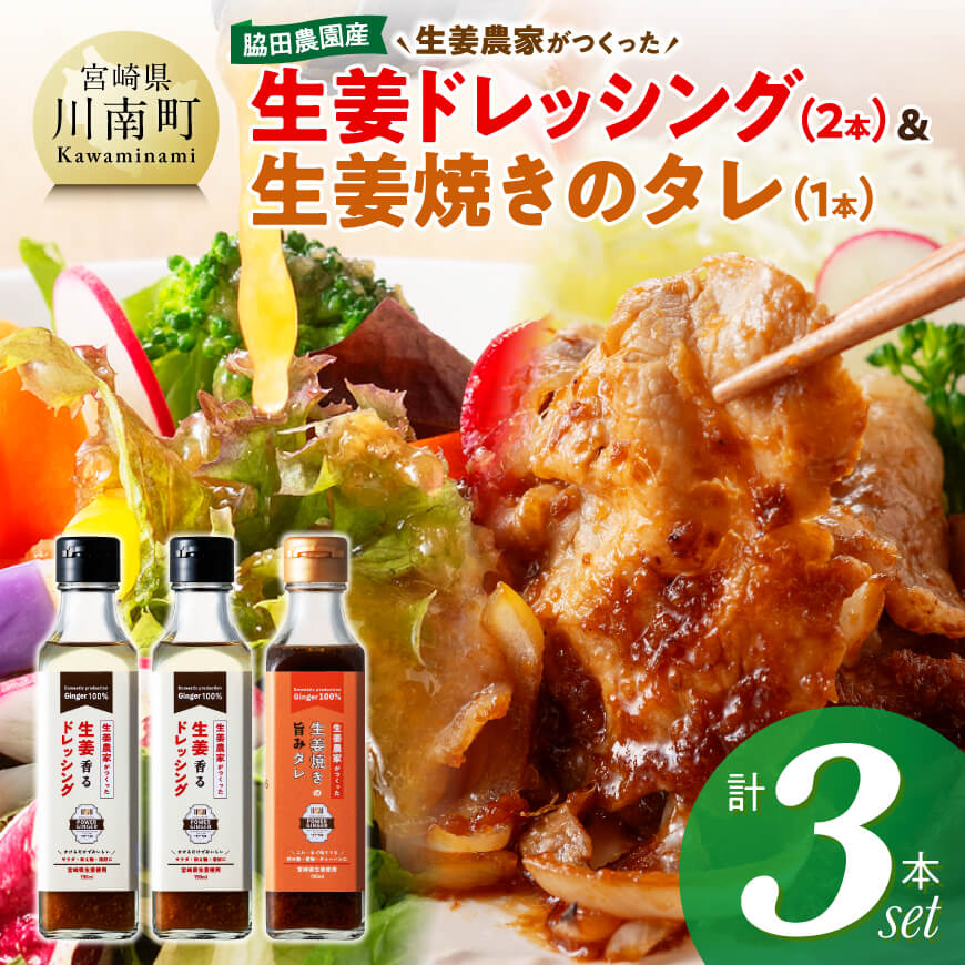脇田農園産　生姜農家が作った生姜ドレッシング2本＆生姜焼きのタレ1本　計3本セット　生姜 ドレッシング[C07003]