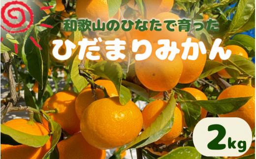 <先行予約＞日向屋 ひだまりみかん 2kg（箱込み） ※2025年12月頃に順次発送予定【期間限定・2025/12/25まで】 / 温州みかん 田辺市 みかん 期間限定 先行予約 ミカン 和歌山 紀州【hnt014】