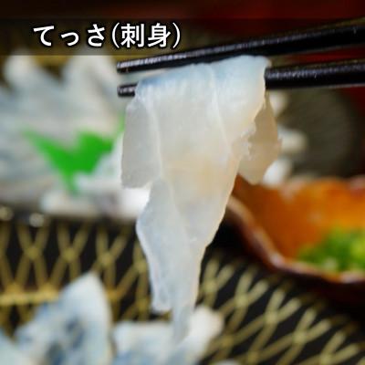 ふるさと納税 上天草市 【竹】とらふぐフルコース『焼きひれ/特製ポン酢/もみじおろし付き』 |  | 01