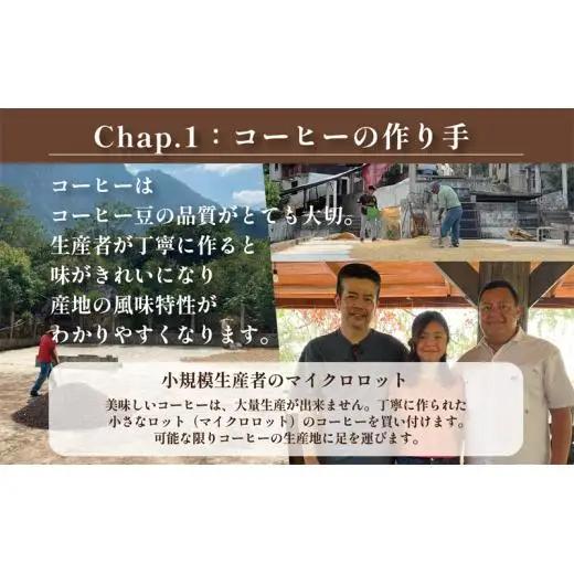 COFFEA EXLIBRIS  スペシャルティコーヒー 150ｇ×3種セット【コーヒー粉】